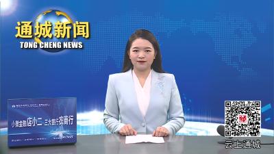 视频-通城县人民政府党组召开主题教育调研成果交流会 