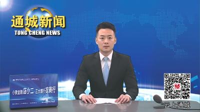 通城县召开咸宁电视问政问题整改方案会商会