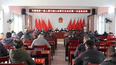 通城县马港镇第十届人民代表大会第五次会议召开