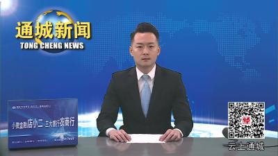 视频-塘湖镇图垅村屋场会：收集群众意见建议 共商乡村振兴发展 