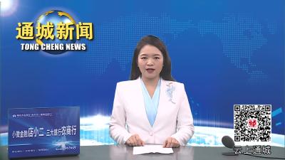 视频-省发改委振兴处来通城调研以工代赈项目实施情况 