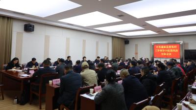 中共通城县委农村工作领导小组第四次全体会议召开