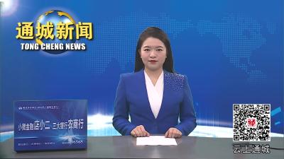 视频-通城县召开2023年生猪产业链发展工作总结会议 