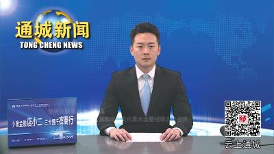 通城县委书记刘中英带领企业家千里拓市场