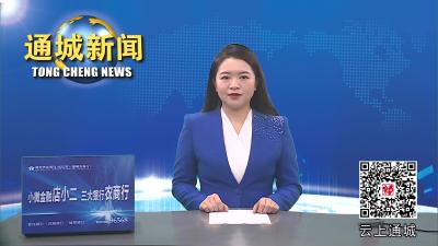 视频-通城县召开县级老干部座谈会 