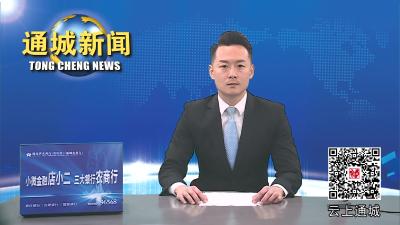 视频-通城县委常委会2023年第25次会议召开 
