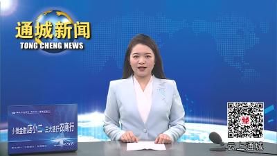 视频-通城县召开推进落实省委、市委八项重点工作动员部署会议 