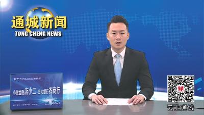 视频-“通”向未来 “城”就梦想 咸宁市2023年企事业单位“引才专列”通城专场活动在华中师范大学举行 