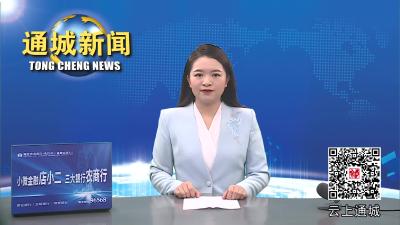 视频-通城县召开全县党政机关办公用房权属统一登记工作推进会 