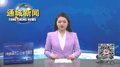 视频-2023年通城县专家人才和人才工作者国情省情县情研修班开班 