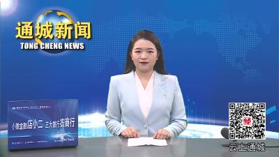 视频-省卫健委来通城调研医疗卫生健康工作 