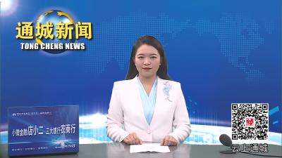 视频-通城县召开2023年冬春火灾防控工作暨冬季火灾集中治理“百日会战”行动部署会 