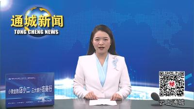 视频-刘中英调研北港枫树—横冲小流域综合治理工作 