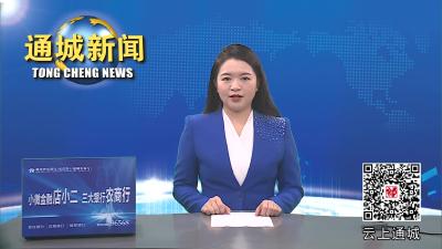 视频-通城县召开粮食安全工作领导小组联席会议