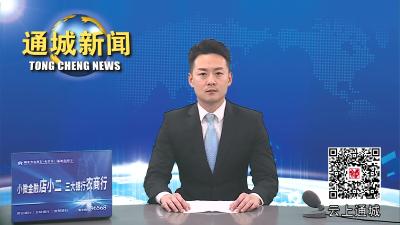 视频-通城县政府举行2023年县政府任职公职人员宪法宣誓活动 