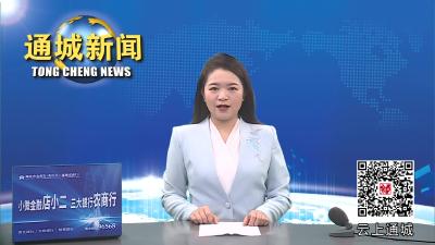 视频-通城县召开信访工作专题会议 