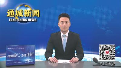 杨修伟调研督办生态环境保护、通修高速通城段拆迁安置点选址工作