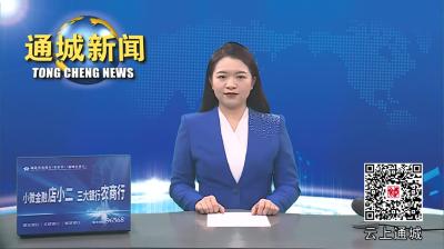 视频-通城县委常委会2024年第2次会议召开 