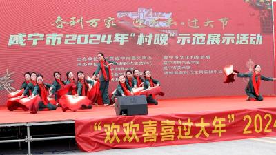 “春到万家——迎龙年·过大节”咸宁市2024年“村晚”示范展示活动在通城精彩上演