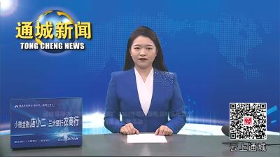 视频-计划总投资53.58亿元！通城县2024年第一季度重大项目集中开工