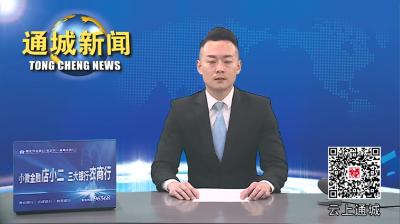 视频-通城县政府党组召开2023年度主题教育专题民主生活会 