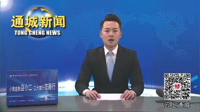 视频-【聚焦两会】通城县第十九届人民代表大会第三次会议主席团第一次会议举行 