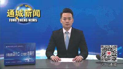 视频-【聚焦两会】通城县“两会”中共党员大会召开 