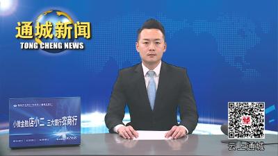 通城县召开2024年第1次县“四大家”联席会议