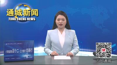 视频-通城县文化旅游业发展促进会成立 