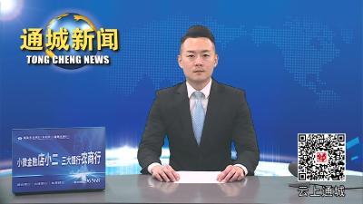 通城召开2024年水利国债项目设计方案汇报会