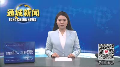 视频-比学赶超！市拉练检查团来通城检查 