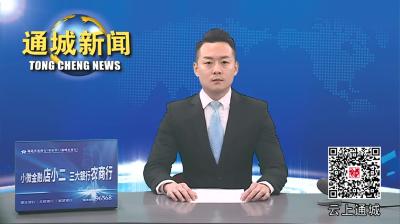 视频-省残联来通城调研残疾人工作 