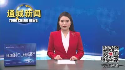 视频-省市场监管局调研组来通城调研督导放心消费示范创建工作 