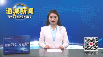视频-通城县领导带队赴山东、江苏开展招商考察活动 