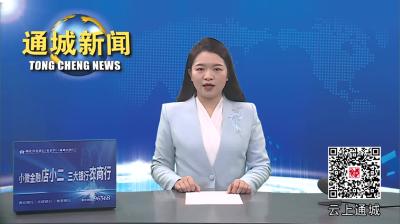 视频-通城县召开2023年度领导班子和领导干部述职述廉述法暨民主测评大会 