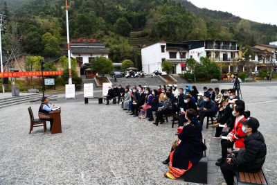 通城县大坪乡：以党建引领提升基层治理质效