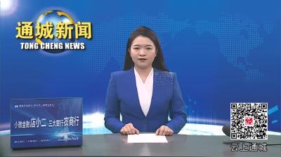 视频-通城县召开2024年安全生产委员会第一次全体会议 