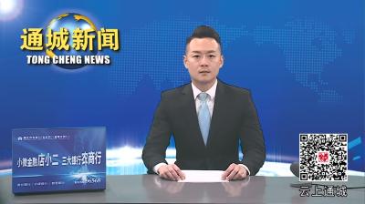 视频-共话通城情 共谋发展路 通城县挂职干部人才深入基层走访调研 