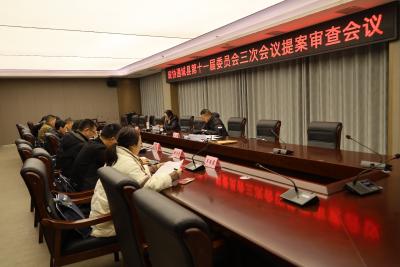 【聚焦两会】政协通城县第十一届委员会第三次会议提案审查会议召开