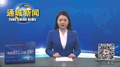 视频-通城县收听收看全省、全市安全生产电视电话会议 