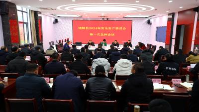 通城县召开2024年安全生产委员会第一次全体会议