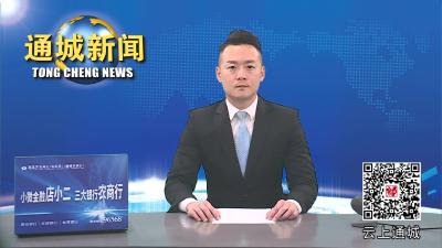 杨修伟调研通修高速通城段拆迁安置点选址和中小学后续建设工作