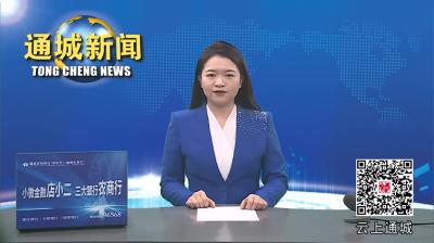 视频-通城县举办“荆楚购·宁惠购”2024年鄂湘赣毗邻地区年货节暨通城县楚厨美食大赛活动 