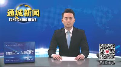 视频-【聚焦两会】通城县第十九届人民代表大会第三次会议主席团举行第二次会议 