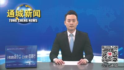 视频-通城县部署新一轮低温雨雪冰冻天气防范应对工作 