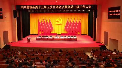 视频-2023年，通城经济开发区新增工业产值2.52亿元