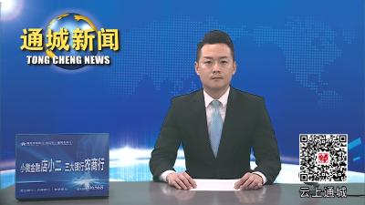 视频-送祝福鼓干劲 刘中英杨修伟到通城经济开发区走访调研 