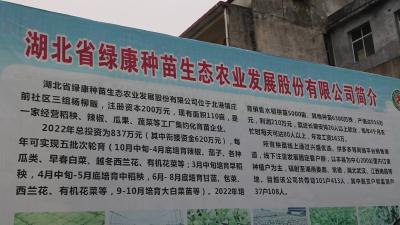 视频-通城县北港镇：从“归来燕”到“领头羊” 80后“育苗能手”带领乡亲共致富 