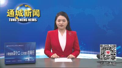视频-“龙腾隽水 幸福通城”2024年通城县春节联欢晚会精彩上演 