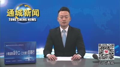 视频-通城县召开2024年岁末年初安全生产暨极端天气防范应对工作调度会 